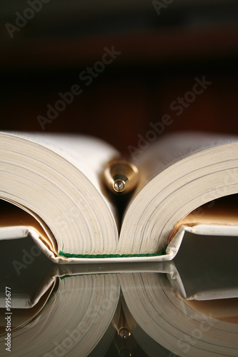 pen and book