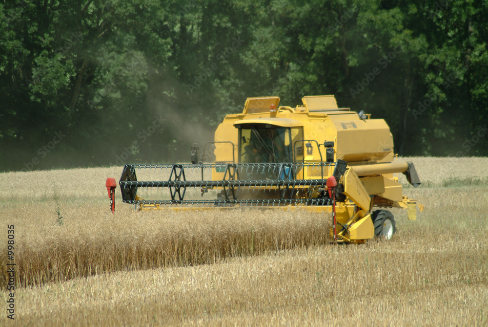 Obraz premium mähdrescher