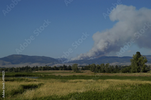 forestfire