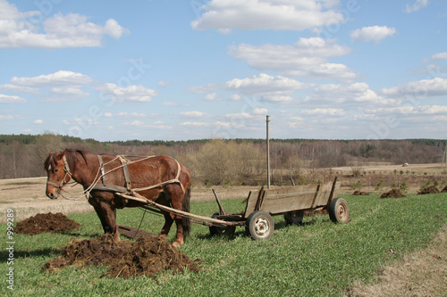 rural landscape