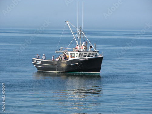 commercial fishery