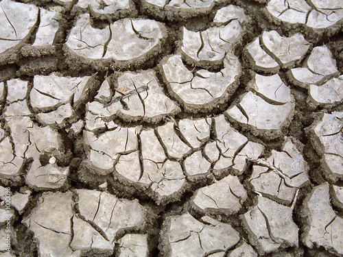 dry soil