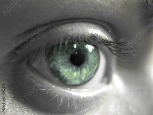 eye