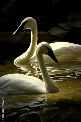 two within one