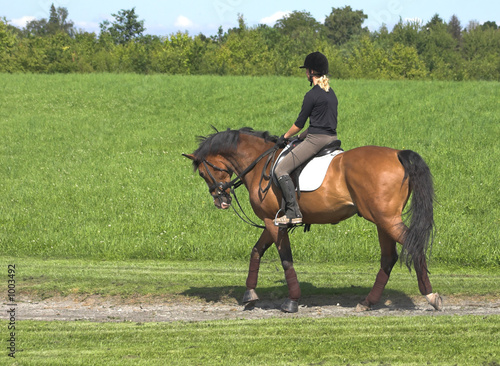 rider on horse