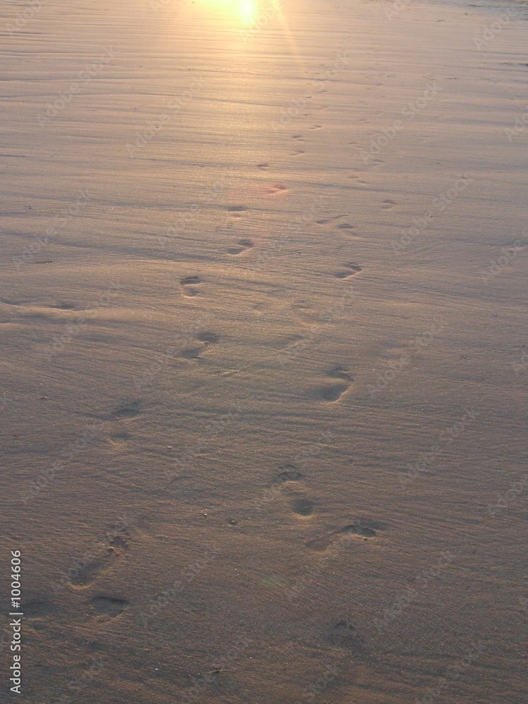 empreintes sur sable