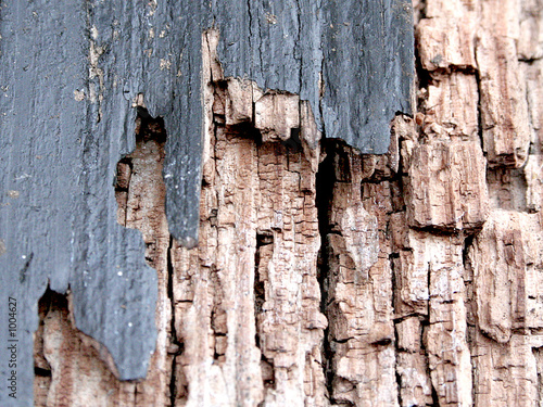 wood_01