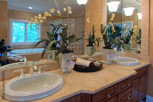 master bathroom no.2