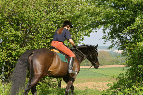cavalière