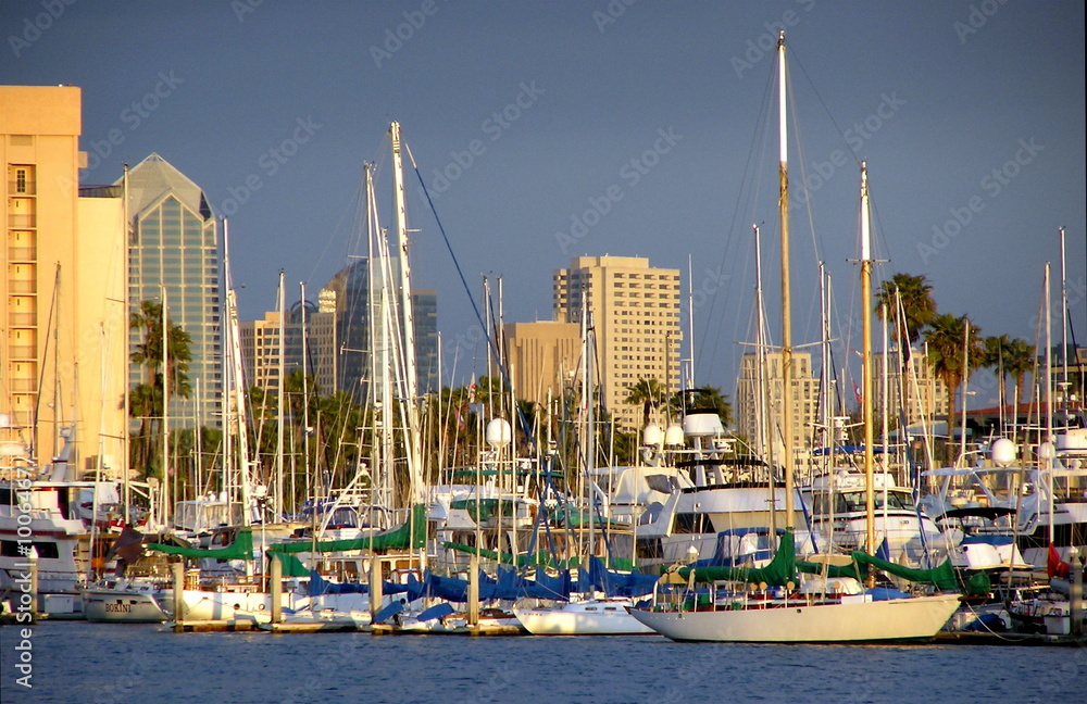 marina on san diego bay