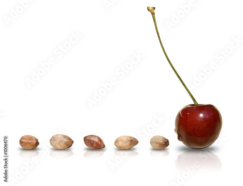 stones and cherry