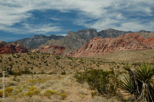 red rock desert scenes 2