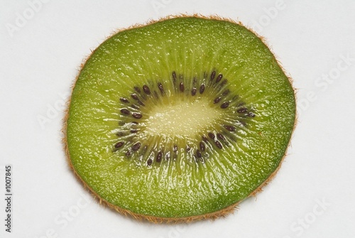 kiwi photo