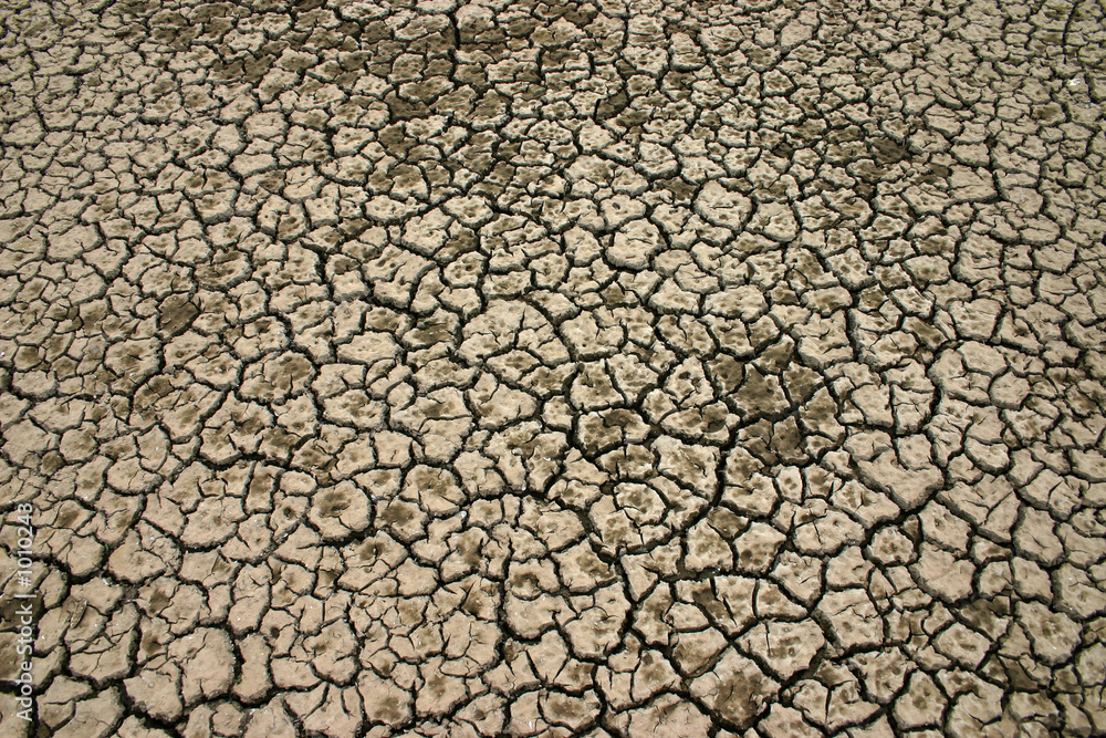 desert desert