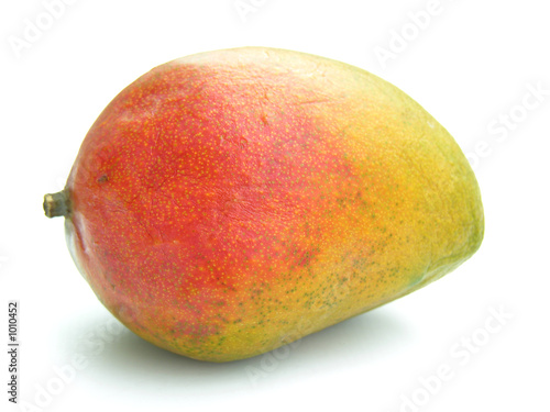 mangue