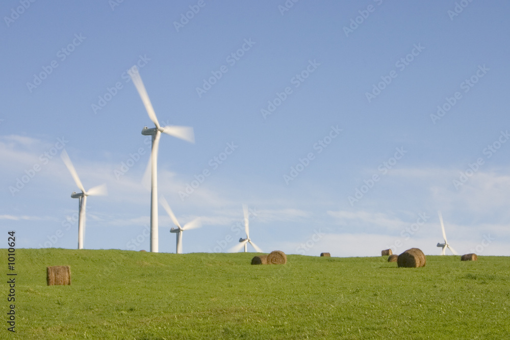 éoliennes à la campagne - obrazy, fototapety, plakaty 