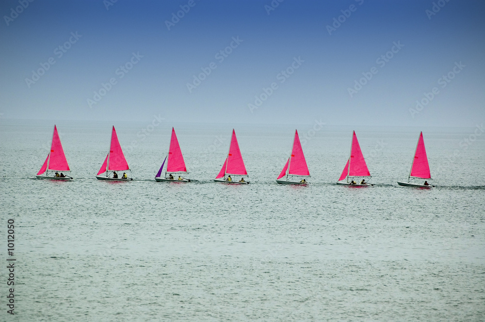 Fototapeta premium voiles roses