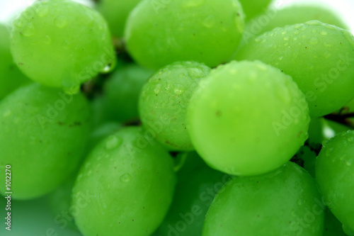 grapes close-up