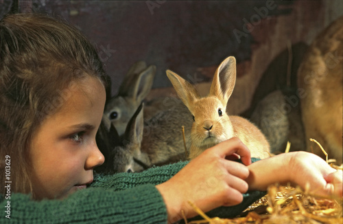 enfant et lapin
