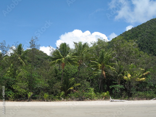 cape tribulation