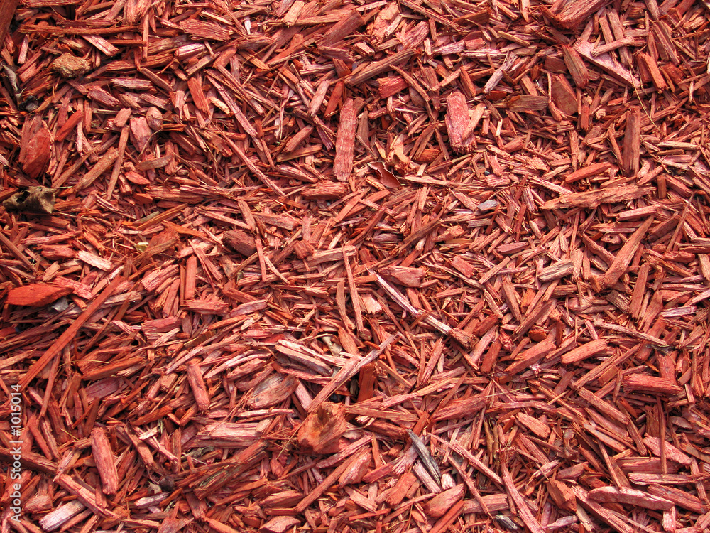 Fototapeta premium wood chips