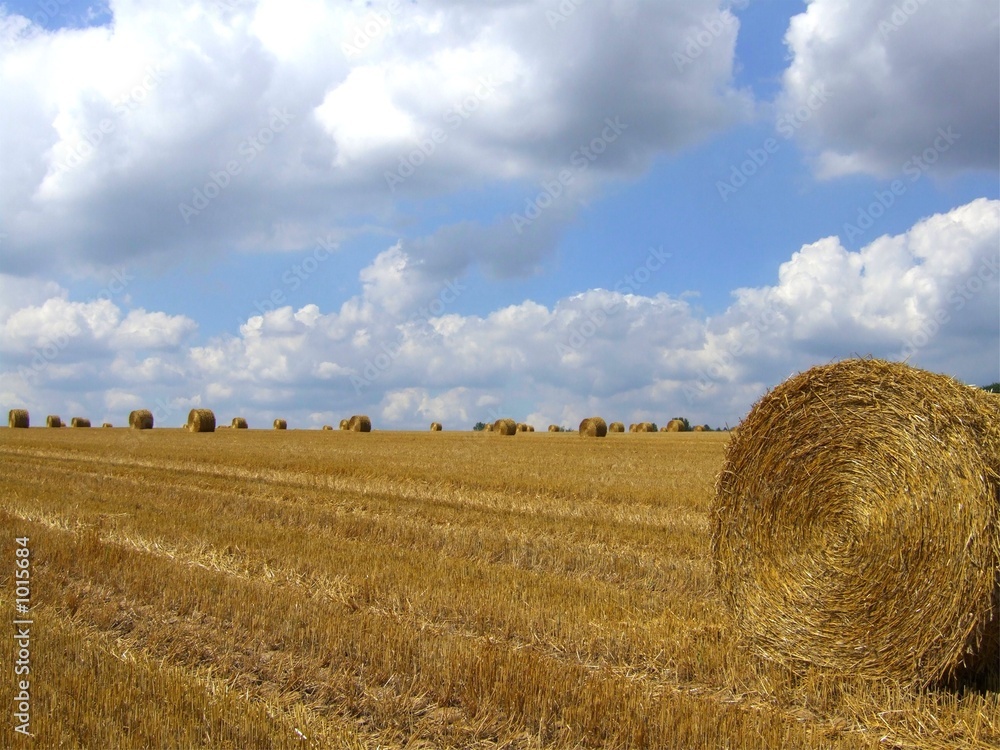 moisson1 moisson1