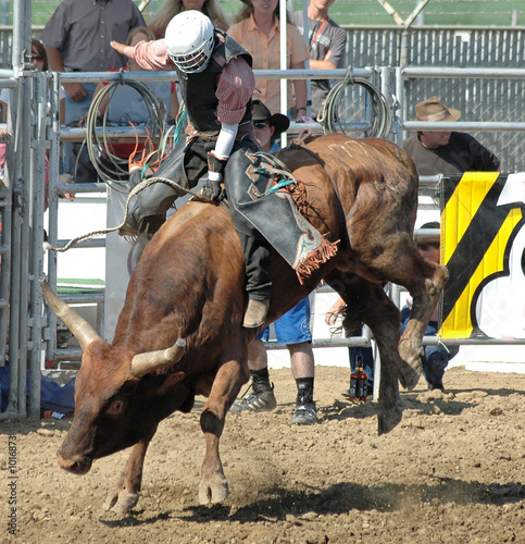 bull & cowboy rider © Clarence Alford
