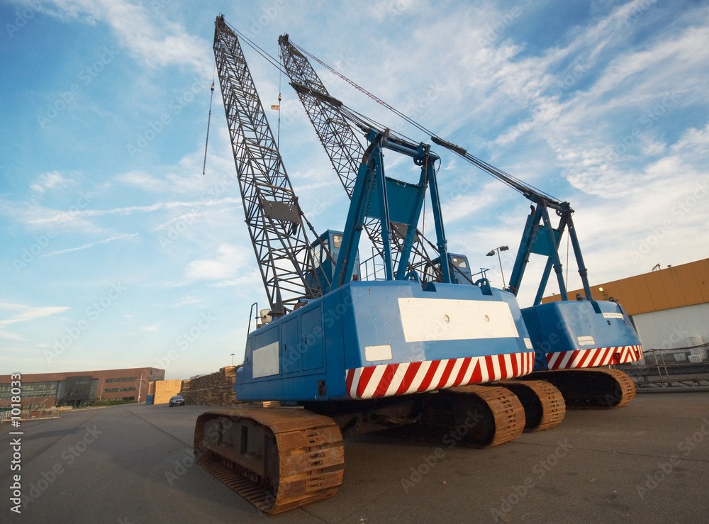 cranes cranes
