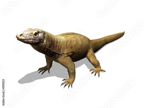 dragounet the komodo