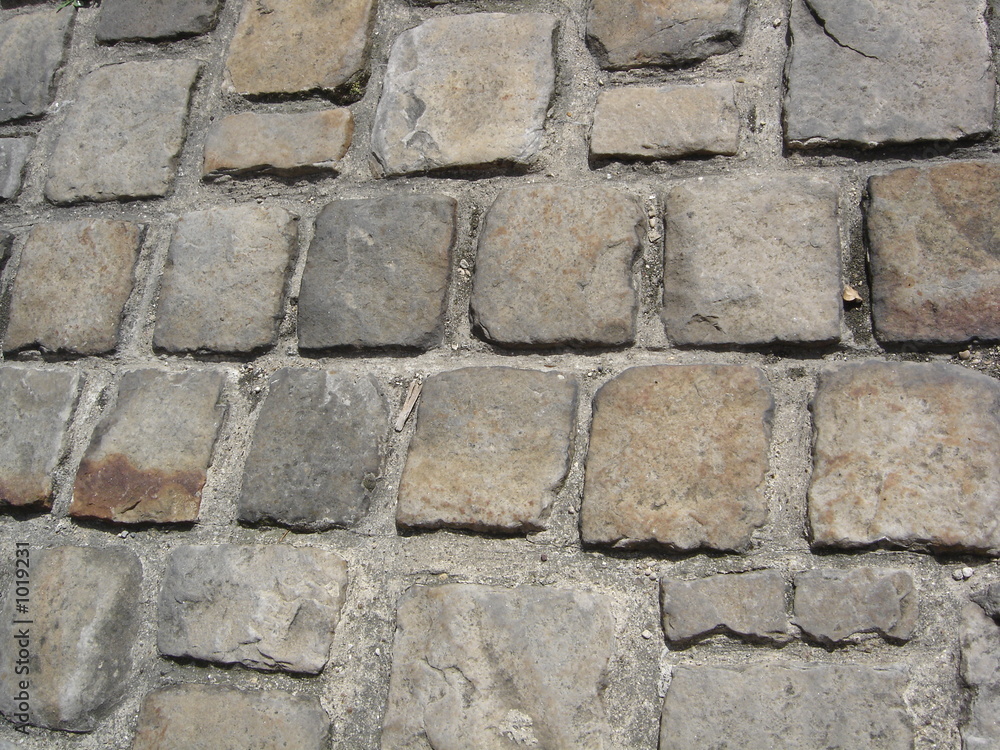 Obraz premium pavés de paris 1