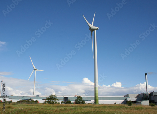 industrial wind farm