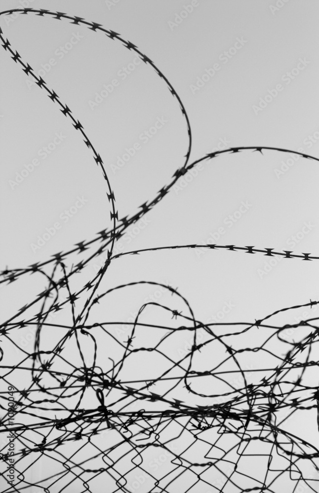 barb wire barb wire