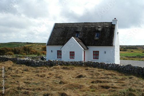 Fototapeta Naklejka Na Ścianę i Meble -  maison irlandaise