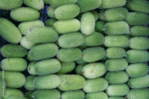 Vászonkép cucumis