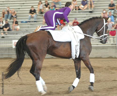 horse vaulter performing