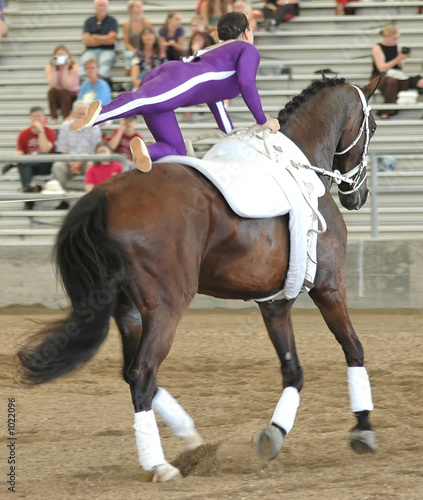 horse vaulter performing