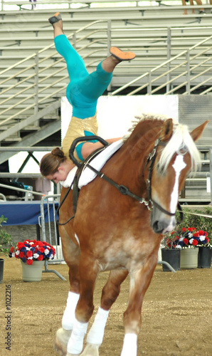 horse vaulter performing