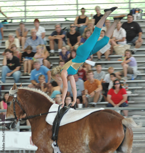 horse vaulters performing