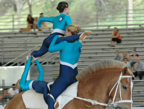 horse vaulters performing