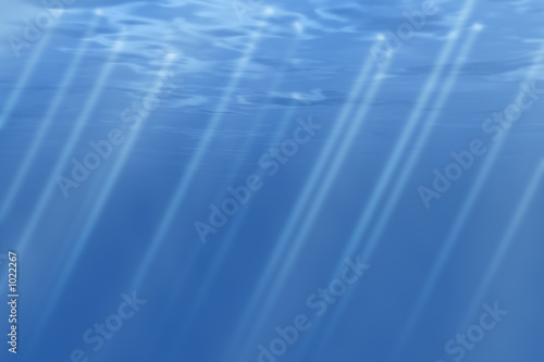 underwater rays