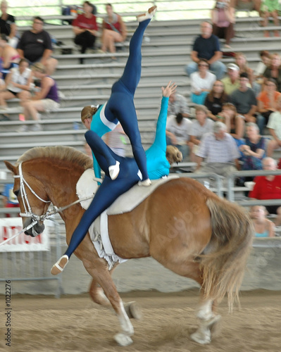 horse vaulters performing