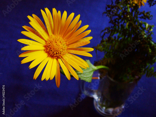 for you