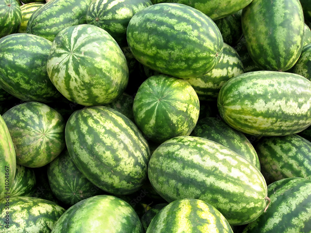 watermelons watermelons