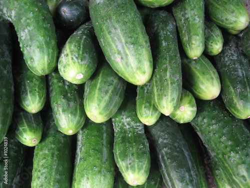 Fotografia cucumbers