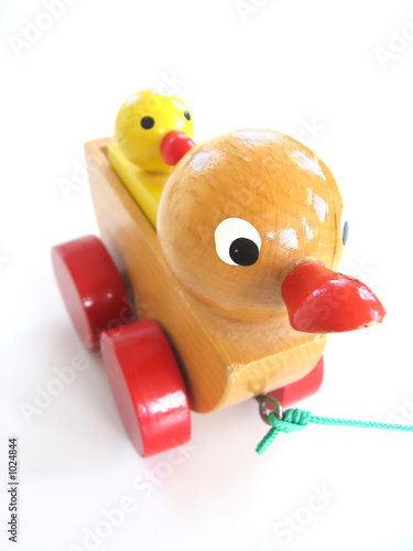 duck