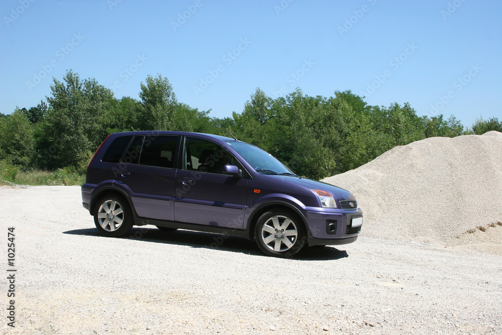 blue van blue van