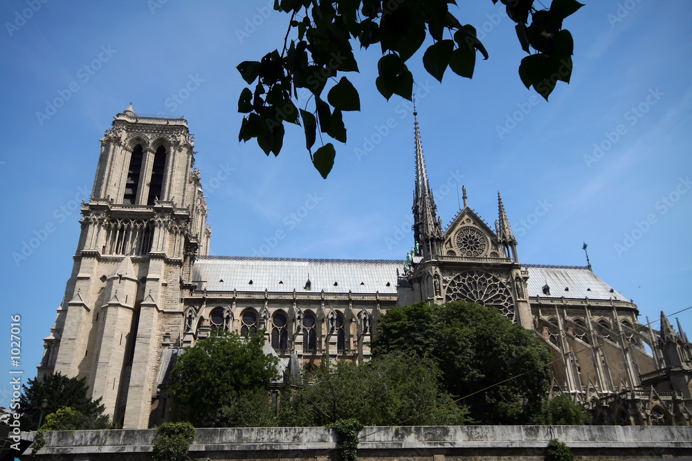 Obraz premium notre dame side