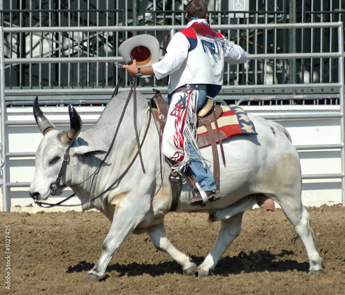 cowboy riding a brahma bull