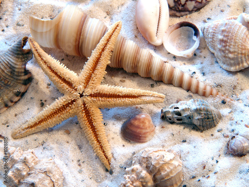 urlaubsfunde photo