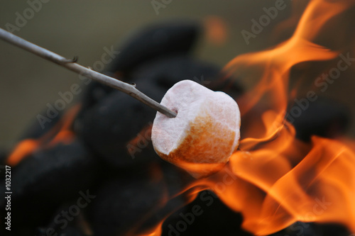 fire roasted marshmallow